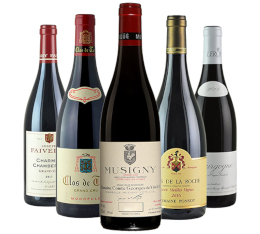 The Best of Burgundy
